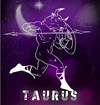 taurus_2015